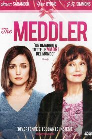 The Meddler