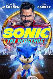 Sonic, a sündisznó
