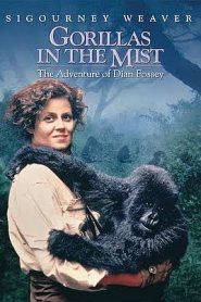 Gorillák a ködben