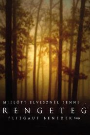 Rengeteg – mindenhol látlak