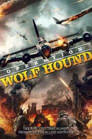 Wolf Hound