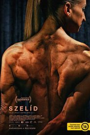 Szelíd