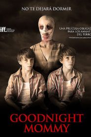 Goodnight Mommy