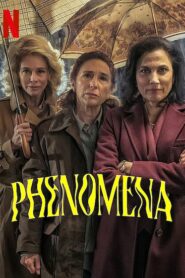 Phenomena / Jelenségek