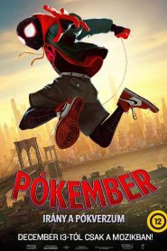 Pókember – Irány a Pókverzum