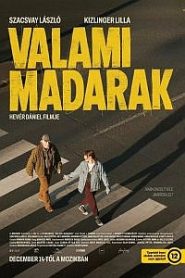 Valami madarak