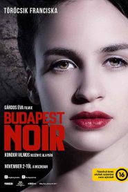 Budapest Noir