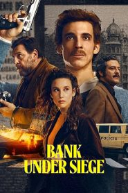 A bank ostroma