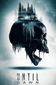 Until Dawn